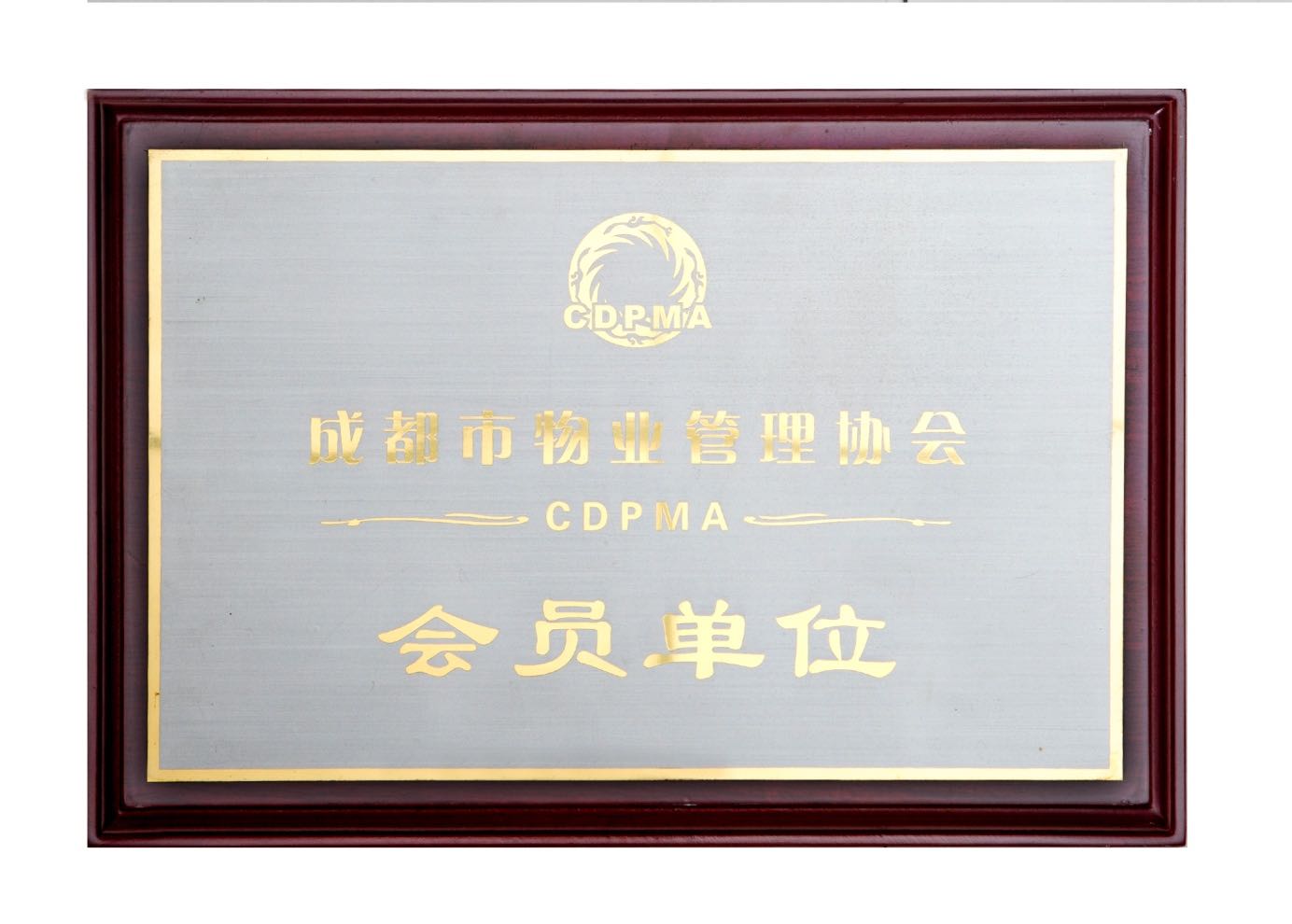 企业荣誉4